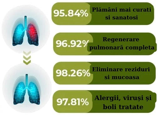 Spray de plante pentru curățarea plămânilor și anti-tuse RESPIVAL